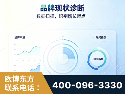 天长-品牌现状诊断