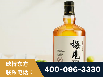 天长-梅见青梅酒